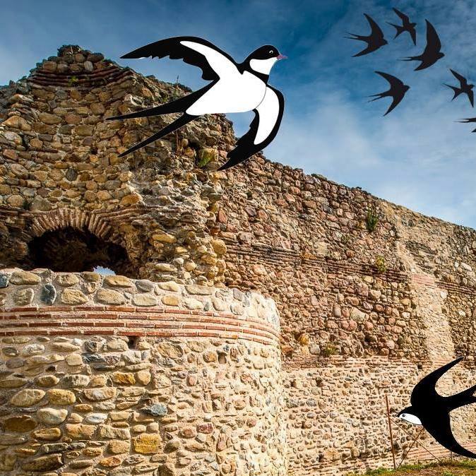 Αρτοκλασία-και-εκδήλωση-στη-Λέσχη-Κομοτηναίων-για-τον-εορτασμό-της-Υπαπαντής,-από-το-Σύλλογο-Βυζαντινού-Φρουρίου-Κομοτηνής