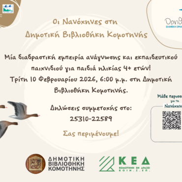 Εκπαιδευτική-Δράση-«Οι-Νανόχηνες-στη-Δημοτική-Βιβλιοθήκη-Κομοτηνής»
