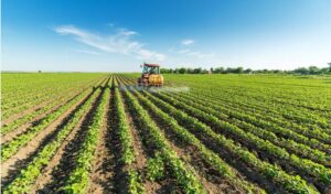 Νέες-ρυθμίσεις-για-τους-αγρότες:-Παράταση-έως-31-Δεκεμβρίου-για-χρηματοδότηση-και-αγροτικά-ακίνητα