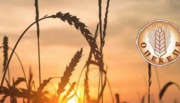 ΟΠΕΚΕΠΕ-–-Πόρισμα-ΝΔ:-Δεν-στοιχειοθετούνται-ποινικές-ευθύνες-πολιτικών-προσώπων