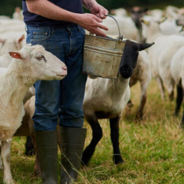 «Η-Κύπρος-δεν-είναι-μόνη-της.-Η-Ελλάδα-όμως-είναι-και-αυτό-δεν-είναι-ατύχημα,-είναι-επιλογή»