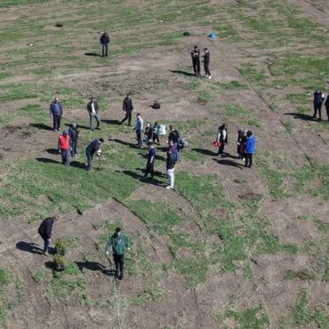 Συνεργασία-του-Δήμου-Μαρωνείας-Σαπών-και-του-ΣΚΑΪ-για-δράση-εθελοντικής-δενδροφύτευσης-(φωτος)