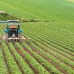 Πώς-θα-μοιραστούν-πάνω-από-260-εκατ.-για-επενδύσεις-σε-αγρότες-και-κτηνοτρόφους