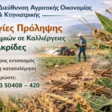 Διεύθυνση-Αγροτικής-Οικονομίας-&-Κτηνιατρικής-ΠΕ.-Ροδόπης:-Οδηγίες-πρόληψης-των-ζημιών-σε-καλλιέργειες-από-ακρίδες