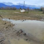 Σταύρος-Κοσουτζής-:-«Στον-νομό-Ροδόπης-φέτος-οι-αγρότες-βρεθήκαμε-μπροστά-σε-μια-πολύ-δύσκολη-κατάσταση»