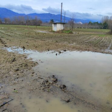 Σταύρος-Κοσουτζής-:-«Στον-νομό-Ροδόπης-φέτος-οι-αγρότες-βρεθήκαμε-μπροστά-σε-μια-πολύ-δύσκολη-κατάσταση»