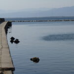 Ντίνος-Χαριτόπουλος-:-«Ώρα-για-Λιμενικό-Ταμείο-στον-Δήμο-Μαρωνείας-–-Σαπών:-Αναγκαίο-βήμα-για-την-ανάπτυξη-των-λιμανιών-μας»