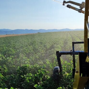 Σταύρος-Κοσουτζής,-αγρότης-:-«Αγροτικό-ρεύμα-και-τιμολόγιο-ΓΑΙΑ-:-Όταν-η-καθυστέρηση-των-επιδοτήσεων-οδηγεί-τους-αγρότες-σε-αδιέξοδο»