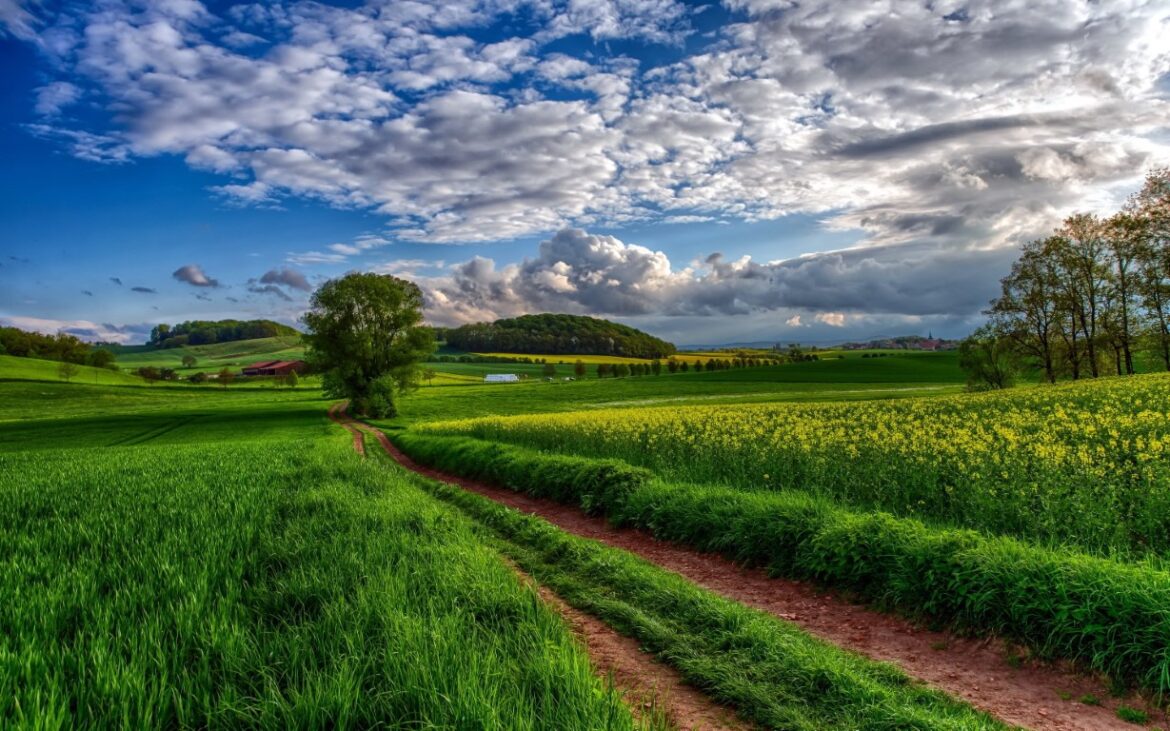 Ερώτηση-στη-Βουλή-για-το-αν-υπάρχει-κίνδυνος-αναστολής-καταβολής-των-αγροτικών-ενισχύσεων