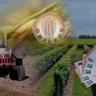 Σιμπέλ-Μουσταφάογλου,-Μέλος-ΝΕ-ΠΑΣΟΚ-Ροδόπης-:-«ΤΕΛΟΣ-ΣΤΗ-ΔΙΑΦΘΟΡΑ-,-ΣΤΗΡΙΞΗ-ΣΤΟΥΣ-ΠΑΡΑΓΩΓΟΥΣ»