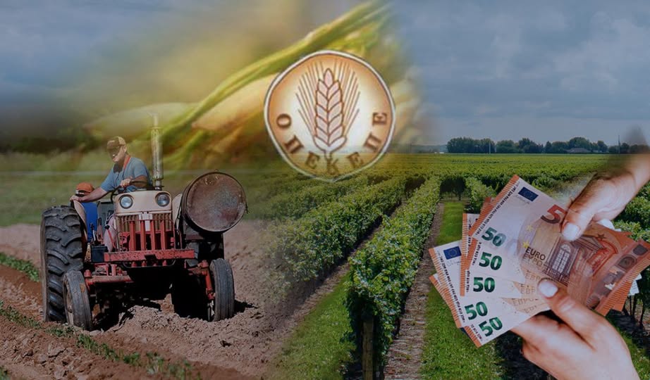 Σιμπέλ-Μουσταφάογλου,-Μέλος-ΝΕ-ΠΑΣΟΚ-Ροδόπης-:-«ΤΕΛΟΣ-ΣΤΗ-ΔΙΑΦΘΟΡΑ-,-ΣΤΗΡΙΞΗ-ΣΤΟΥΣ-ΠΑΡΑΓΩΓΟΥΣ»