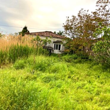 Ενημέρωση-από-το-Δήμο-Κομοτηνής-για-τον-καθαρισμό-οικοπέδων-από-τους-ιδιοκτήτες-τους