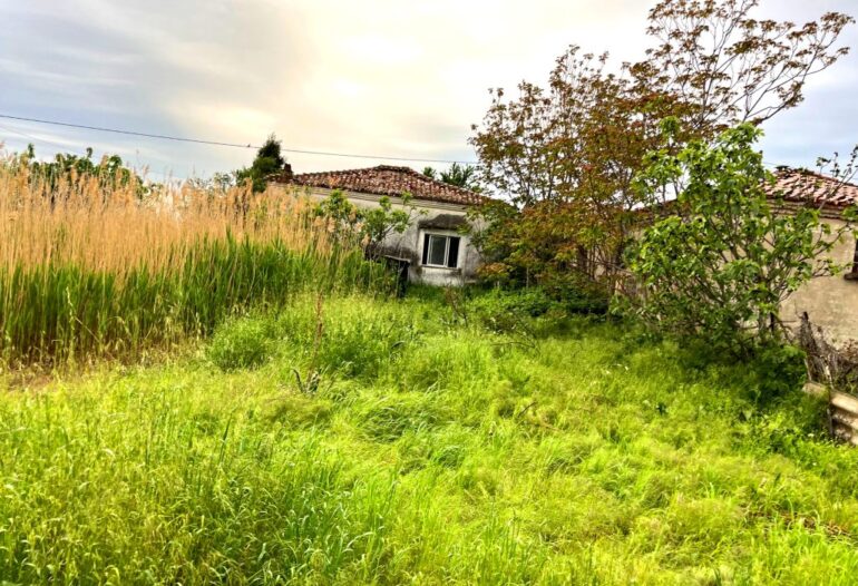 Ενημέρωση-από-το-Δήμο-Κομοτηνής-για-τον-καθαρισμό-οικοπέδων-από-τους-ιδιοκτήτες-τους