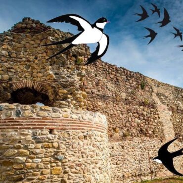 Δράσεις-από-τον-Πολιτιστικό-Σύλλογο-Περιοχής-Βυζαντινού-Φρουρίου-Κομοτηνής