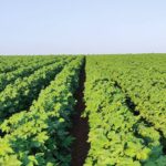 Παραίτηση-Λαζαρίδη-Τι-γίνεται-στο-ΥΠΑΑΤ;-Ποιο-θα-είναι-το-μέλλον-των-αγροτών,-όταν-η-Ροδόπη-εξακολουθεί-να-στερείται-ολοκληρωμένων-υποδομών;