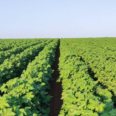 Παραίτηση-Λαζαρίδη-Τι-γίνεται-στο-ΥΠΑΑΤ;-Ποιο-θα-είναι-το-μέλλον-των-αγροτών,-όταν-η-Ροδόπη-εξακολουθεί-να-στερείται-ολοκληρωμένων-υποδομών;