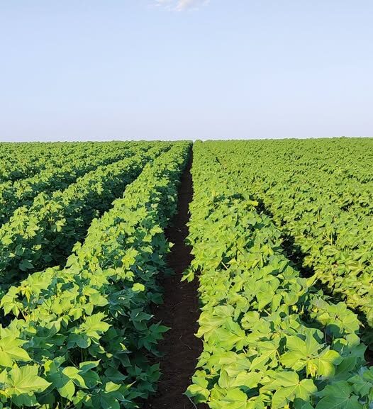 Παραίτηση-Λαζαρίδη-Τι-γίνεται-στο-ΥΠΑΑΤ;-Ποιο-θα-είναι-το-μέλλον-των-αγροτών,-όταν-η-Ροδόπη-εξακολουθεί-να-στερείται-ολοκληρωμένων-υποδομών;