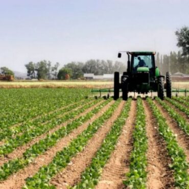 Αγροτικά:-Η-Ευρωπαϊκή-Επιτροπή-σχεδιάζει-την-οικονομική-ενίσχυση-για-καύσιμα-και-λιπάσματα