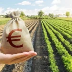 Σε-νέα-βάση-περνά-η-στήριξη-των-αγροτών-για-ζημιές-από-φυσικές-καταστροφές-Πώς-θα-αντικατασταθεί-το-Μέτρο-23