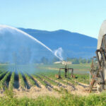 Ερώτηση-Ευριπίδη-Στυλιανίδη-για-τους-απλήρωτους-αγρότες-της-Ροδόπης