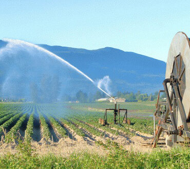 Ερώτηση-Ευριπίδη-Στυλιανίδη-για-τους-απλήρωτους-αγρότες-της-Ροδόπης