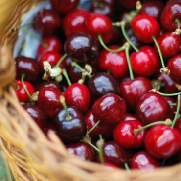 Πόσα-πληρώνει-ο-Ευρωπαίος-καταναλωτής-για-το-Κεράσι-με-την-υψηλότερη-τιμή-στον-Έλληνα-παραγωγό