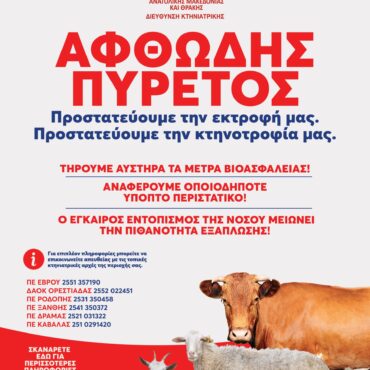Περιφέρεια-ΑΜΘ:-Ενημερωτικό-υλικό-για-τον-αφθώδη-πυρετό-και-οδηγίες-προς-ταξιδιώτες-σε-τέσσερις-γλώσσες