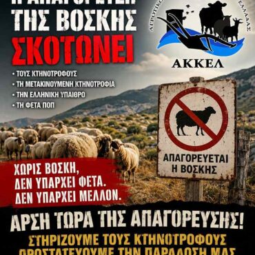 ΑΚΚΕΛ:-Το-υπουργείο-καταστρέφει-τη-μετακινούμενη-κτηνοτροφία-και-υπονομεύει-τη-φέτα-ΠΟΠ-στο-όνομα-μιας-αποτυχημένης-πολιτικής