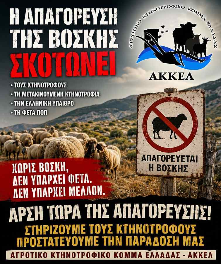 Φόντο
