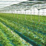 Άρχισε-η-αντίστροφη-μέτρηση-για-τη-μεγαλύτερη-μεταρρύθμιση-της-ΚΑΠ-στις-Βρυξέλλες