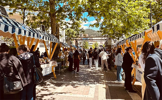 Επιμελητήριο-Ξάνθης:-Πρόσκληση-επιχειρήσεων-για-την-Έκθεση-Τοπικών-Προϊόντων