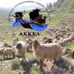 Σκληρή-ερώτηση-στην-Βουλή-από-το-ΑΚΚΕΛ-για-την-κυβερνητική-ευθύνη-στην-καταστροφή-της-ελληνικής-κτηνοτροφίας