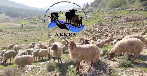 Φόντο