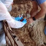 ΑΚΚΕΛ:-«Η-απάντηση-του-Υπουργείου-στο-Αγροτικό-Κτηνοτροφικό-Κόμμα-Ελλάδας-για-την-ευλογιά-είναι-προσβολή-προς-τους-κτηνοτρόφους-και-σαφέστατη-απόπειρα-συγκάλυψης»