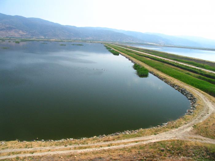 Εγκρίθηκε-νέο-αρδευτικό-έργο-για-6.200-στρέμματα-στο-Νομό-Ροδόπης