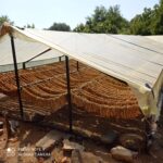 Παρέμβαση-στη-Βουλή-για-διάσωση-καπνοκαλλιέργειας-Μπασμά