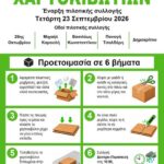 Δήμος-Ξάνθης:-Πιλοτική-λειτουργία-ανακύκλωσης-χαρτοκιβωτίων-από-τις-23-Σεπτεμβρίου