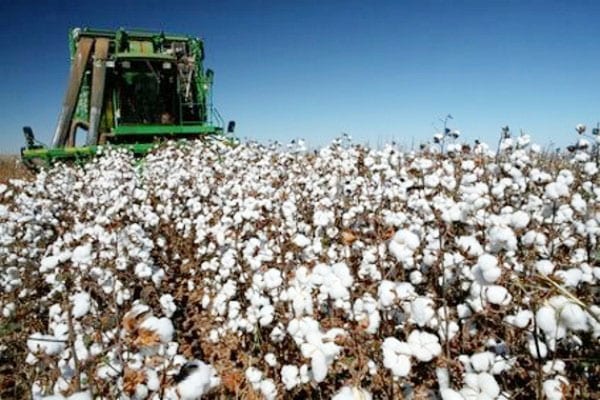 Ερώτηση για πληρωμές της ΚΑΠ χωρίς έγκαιρη ολοκλήρωση των απαιτούμενων ελέγχων, ευθύνες του οργανισμού πιστοποίησης και ερωτήματα για τη διασφάλιση των ενωσιακών πόρων